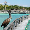Cancún