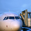 Tokyo Narita Airport