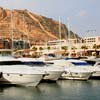 Alicante