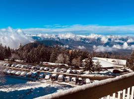 Hôtel Studio 4 pers Roche Béranger