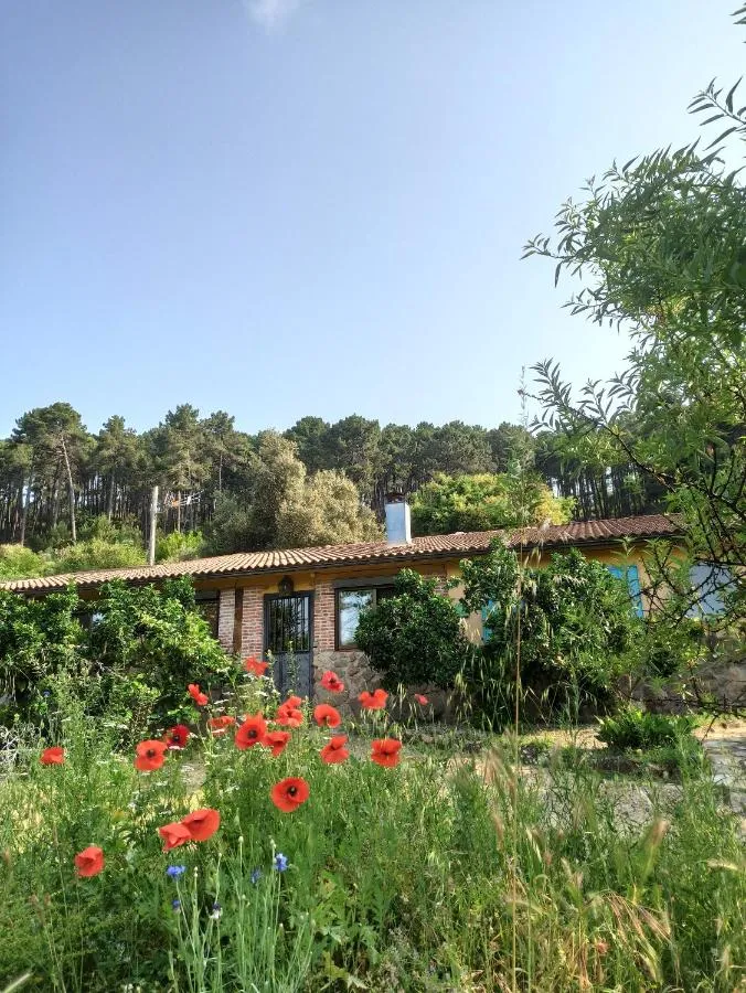 Hotel 2 estrellas en Arenas de San Pedro